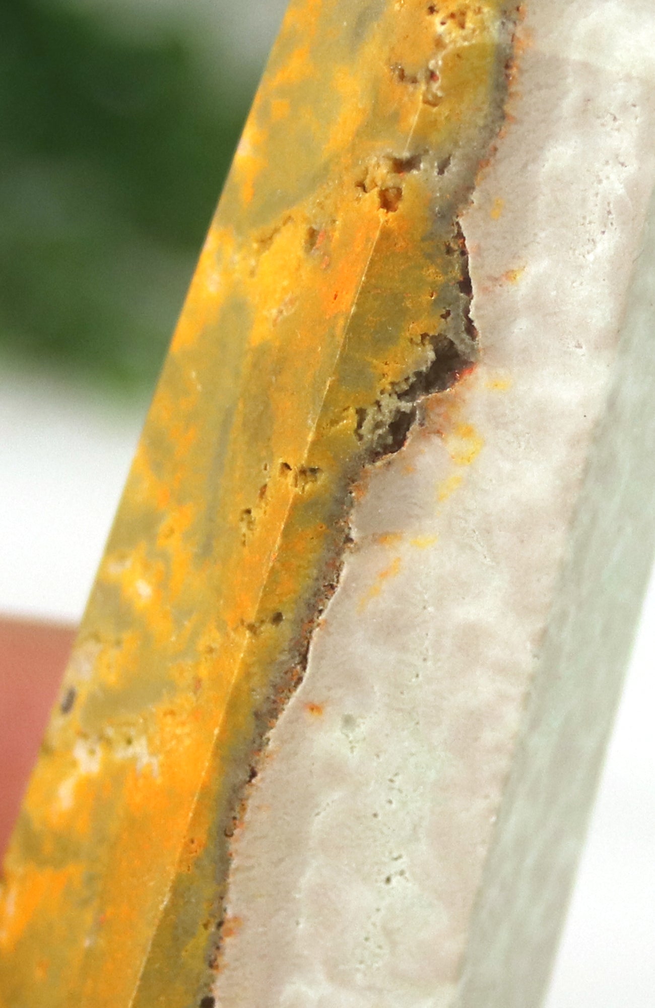 Bumble Bee Jasper Generator